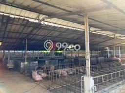 Tanah Dijual Lokasi Gunung Sindur, Bogor dengan Luas Tanah 1m2 dan Status SHM Tanah Dijual Lokasi Gunung Sindur, Bogor dengan Luas Tanah 1m2 dan Status SHM