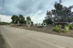 Tanah Dijual Lokasi Ranca Bungur, Bogor Luas 2500m2 Legalitas Aman Tanah Dijual Lokasi Ranca Bungur, Bogor Luas 2500m2 Legalitas Aman