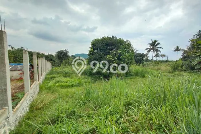 Tanah Dijual Lokasi Ranca Bungur, Bogor Luas 2500m2 Legalitas Aman Tanah Dijual Lokasi Ranca Bungur, Bogor Luas 2500m2 Legalitas Aman