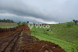 Tanah Investasi Dijual di Malang Punya Luas 150000m2 Tanah Investasi Dijual di Malang Punya Luas 150000m2