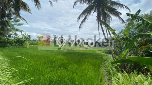 Kavling Tanah untuk Dijual di Kemenuh, Gianyar, Luas 150000m2 Kavling Tanah untuk Dijual di Kemenuh, Gianyar, Luas 150000m2