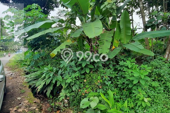 Tanah Kavling untuk Dijual di Mojosongo Boyolali 1100m2 Tanah Kavling untuk Dijual di Mojosongo Boyolali 1100m2