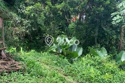 Tanah di Borobudur, Magelang Luas 28050m2 Dijual Segera Tanah di Borobudur, Magelang Luas 28050m2 Dijual Segera