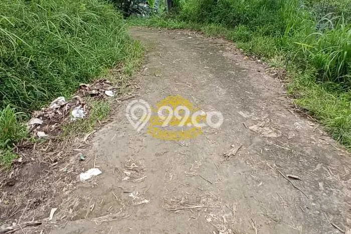 Tanah Dijual di Tabanan Seluas 4080m2 Strategis Tanah Dijual di Tabanan Seluas 4080m2 Strategis