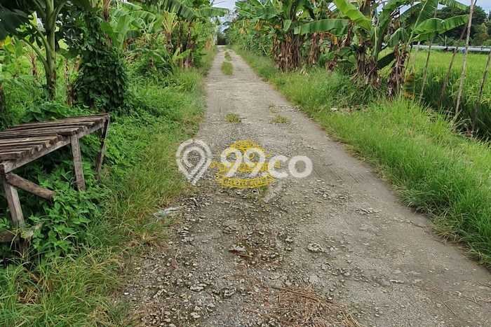 Dijual Tanah 9000m2 di Pererenan, Badung Dijual Tanah 9000m2 di Pererenan, Badung