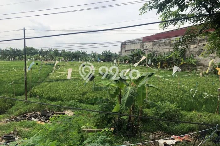 Tanah Kavling untuk Dijual di Karawang Barat Karawang 2400m2 Tanah Kavling untuk Dijual di Karawang Barat Karawang 2400m2