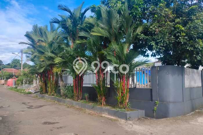 HARGA TERBAIK! Tanah di Kedung Halang, Luas 433m², Jalur Mudah, Cocok untuk Investasi HARGA TERBAIK! Tanah di Kedung Halang, Luas 433m², Jalur Mudah, Cocok untuk Investasi
