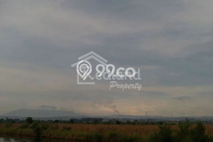 Tanah Dijual Lokasi Kaliwungu, Semarang Luas 5000m2 Legalitas Aman Tanah Dijual Lokasi Kaliwungu, Semarang Luas 5000m2 Legalitas Aman