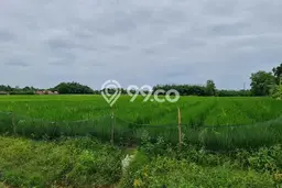 Tanah Dijual Lokasi Pabuaran, Subang Luas 6e+09m2 Legalitas Aman Tanah Dijual Lokasi Pabuaran, Subang Luas 6e+09m2 Legalitas Aman