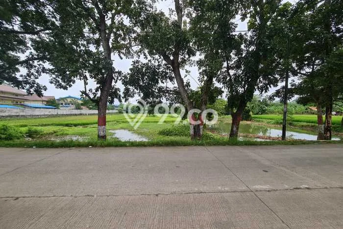 Tanah Kavling untuk Dijual di Campaka Purwakarta 200000m2 Tanah Kavling untuk Dijual di Campaka Purwakarta 200000m2