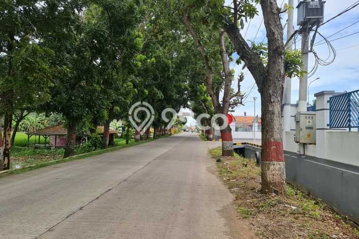 Tanah Kavling untuk Dijual di Campaka Purwakarta 200000m2 Tanah Kavling untuk Dijual di Campaka Purwakarta 200000m2