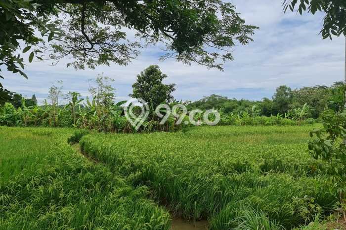 Lahan untuk Dijual Lokasi Cibatu, Purwakarta Luas 260000m2 SHM Lahan untuk Dijual Lokasi Cibatu, Purwakarta Luas 260000m2 SHM