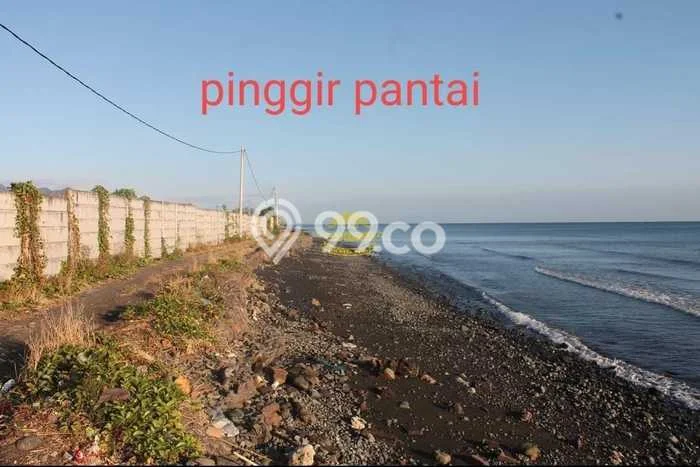 Tanah Komersial Dijual di Gerokgak Buleleng 43000m2 Tanah Komersial Dijual di Gerokgak Buleleng 43000m2