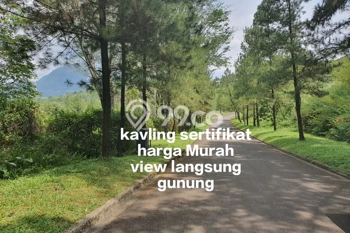 Tanah Siap Bangun Dijual di Bogor Punya Luas 1663m2 Tanah Siap Bangun Dijual di Bogor Punya Luas 1663m2