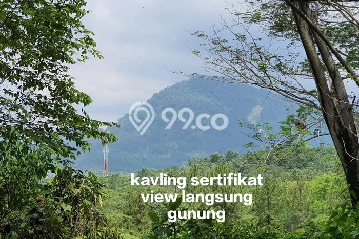 Tanah Siap Bangun Dijual di Bogor Punya Luas 1663m2 Tanah Siap Bangun Dijual di Bogor Punya Luas 1663m2