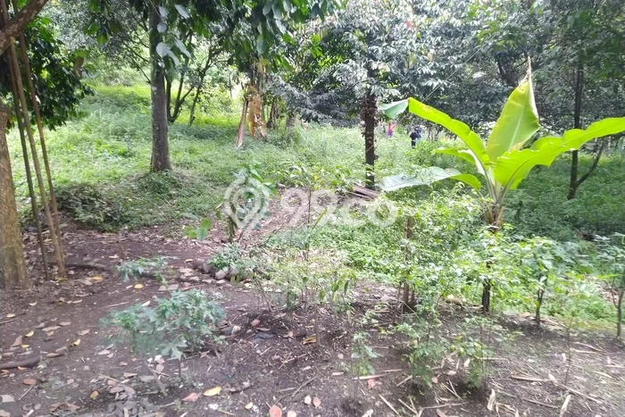 Tanah Komersial Dijual di Batujajar Bandung Barat 30583m2 Tanah Komersial Dijual di Batujajar Bandung Barat 30583m2