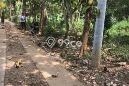 Tanah untuk Dijual di Gebang Purworejo Luas 2880m2 Tanah untuk Dijual di Gebang Purworejo Luas 2880m2