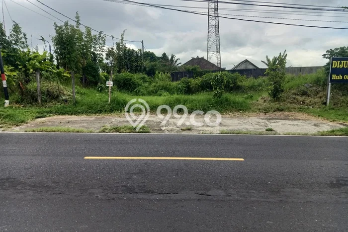 Jarang Ada! Tanah di Baturiti Punya Luas 1000m2 SHM Jarang Ada! Tanah di Baturiti Punya Luas 1000m2 SHM