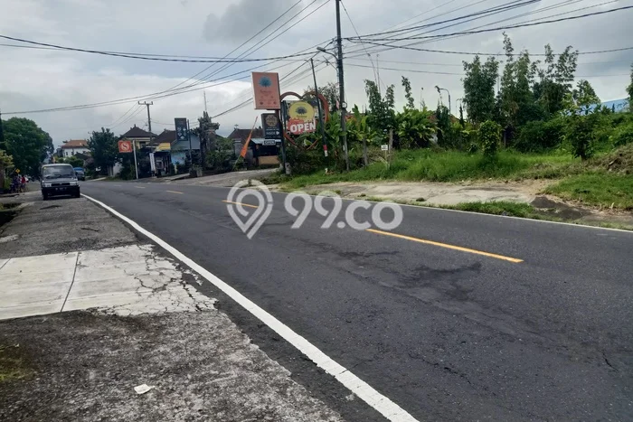 Jarang Ada! Tanah di Baturiti Punya Luas 1000m2 SHM Jarang Ada! Tanah di Baturiti Punya Luas 1000m2 SHM
