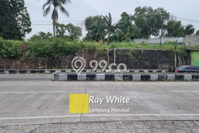 Kavling Tanah di Bakauheni Dijual Luas 4105m2 Legalitas SHM Kavling Tanah di Bakauheni Dijual Luas 4105m2 Legalitas SHM
