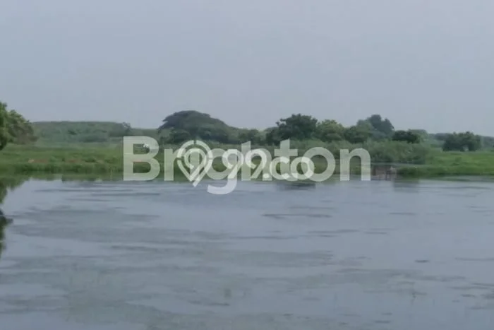 Tanah Kavling untuk Dijual di Bangil Pasuruan 70000m2 Tanah Kavling untuk Dijual di Bangil Pasuruan 70000m2