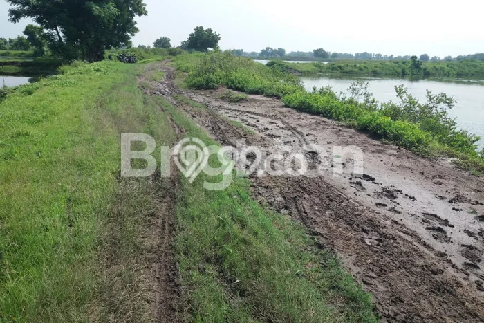 Tanah Kavling untuk Dijual di Bangil Pasuruan 70000m2 Tanah Kavling untuk Dijual di Bangil Pasuruan 70000m2