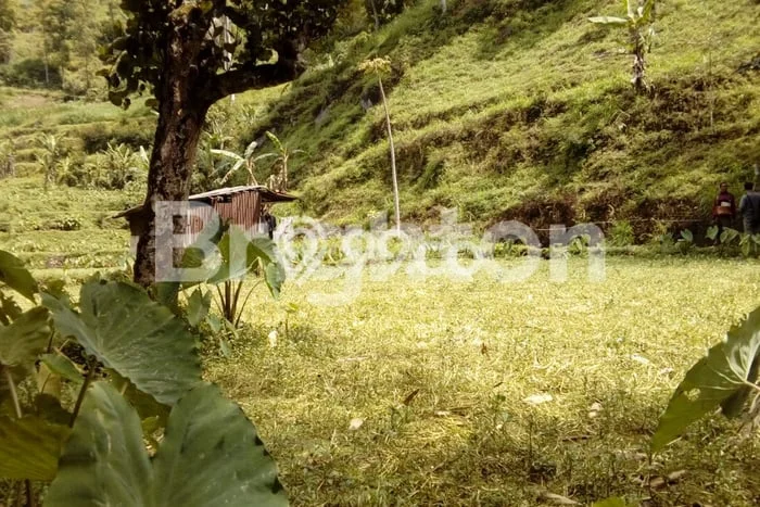Tanah Strategis Dijual di Pujon Malang 1597m2 Tanah Strategis Dijual di Pujon Malang 1597m2