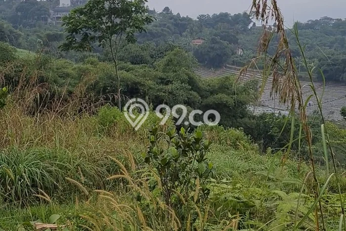 Kavling Tanah di Babakan Madang Dijual Luas 1e+08m2 Legalitas SHM Kavling Tanah di Babakan Madang Dijual Luas 1e+08m2 Legalitas SHM