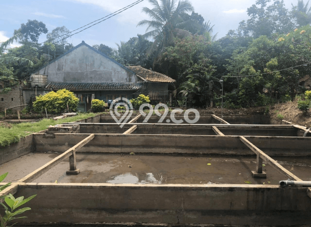 Tanah Kosong Dijual di Pandeglang dengan Area 2003m2 Tanah Kosong Dijual di Pandeglang dengan Area 2003m2