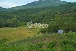 Tanah di Sukamakmur, Bogor Luas 10000m2 Dijual Segera Tanah di Sukamakmur, Bogor Luas 10000m2 Dijual Segera
