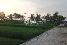 Tanah Dijual di Badung Seluas 2000m2 Strategis Tanah Dijual di Badung Seluas 2000m2 Strategis