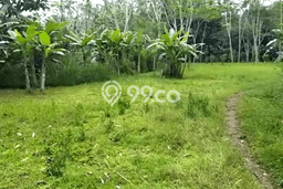 Tanah Strategis Dijual di Ubud Gianyar 24939m2 Tanah Strategis Dijual di Ubud Gianyar 24939m2