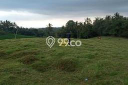 Untuk Dijual Tanah 10000m2 di Soka, Tabanan Untuk Dijual Tanah 10000m2 di Soka, Tabanan