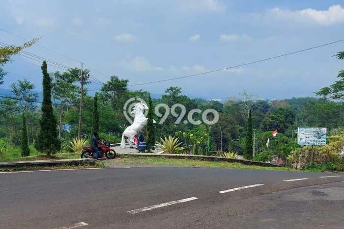 Kavling Tanah Dijual di Prigen, Pasuruan, Luas 1958m2 Area Strategis Kavling Tanah Dijual di Prigen, Pasuruan, Luas 1958m2 Area Strategis