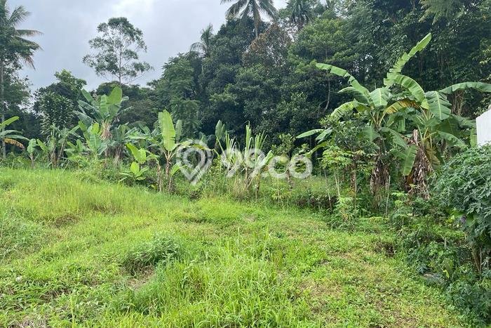 Lahan untuk Dijual Lokasi Sukaraja, Sukabumi Luas 750m2 - Lahan untuk Dijual Lokasi Sukaraja, Sukabumi Luas 750m2 -
