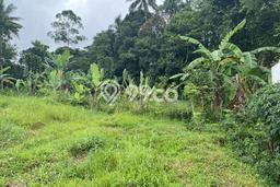 Lahan untuk Dijual Lokasi Sukaraja, Sukabumi Luas 750m2 - Lahan untuk Dijual Lokasi Sukaraja, Sukabumi Luas 750m2 -