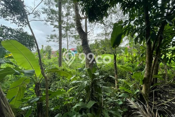Lahan untuk Dijual Lokasi Sukaraja, Sukabumi Luas 750m2 - Lahan untuk Dijual Lokasi Sukaraja, Sukabumi Luas 750m2 -