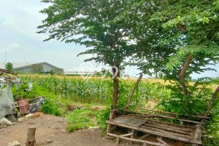 Lahan untuk Dijual di Sukorejo Pasuruan Luas 9m2 Lahan untuk Dijual di Sukorejo Pasuruan Luas 9m2