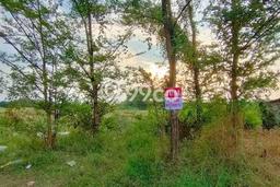 Lahan Investasi Lokasi Bangil Pasuruan SHM Lahan Investasi Lokasi Bangil Pasuruan SHM