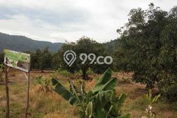 Tanah Dijual di Majalengka Seluas 3285m2 Strategis Tanah Dijual di Majalengka Seluas 3285m2 Strategis