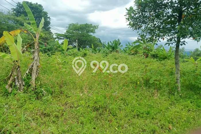 Tanah untuk Dijual Lokasi Citeureup, Bogor Luas 5700m2 - Tanah untuk Dijual Lokasi Citeureup, Bogor Luas 5700m2 -