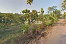 Lahan Investasi Lokasi Jumantono Karanganyar SHM Lahan Investasi Lokasi Jumantono Karanganyar SHM