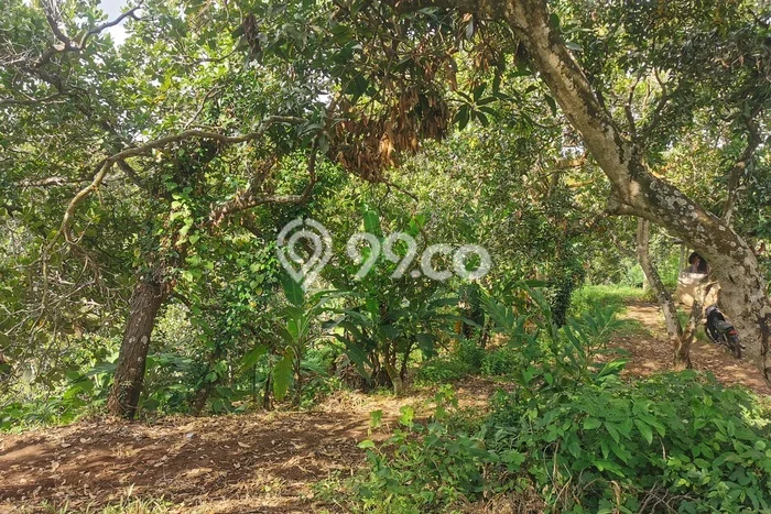 LOKASI STRATEGIS! Tanah Kawasan Kubutambahan, Luas 2800m², Tepi Jalan Utama LOKASI STRATEGIS! Tanah Kawasan Kubutambahan, Luas 2800m², Tepi Jalan Utama