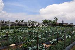 Tanah Dijual di Bandung Seluas 1133m2 Strategis Tanah Dijual di Bandung Seluas 1133m2 Strategis
