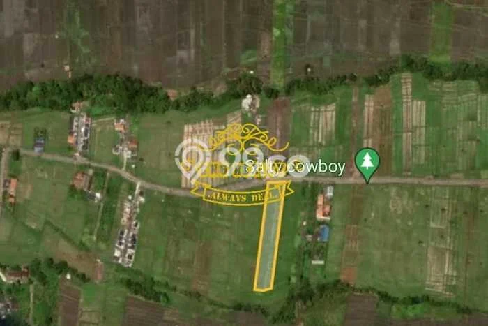 Kavling Tanah untuk Dijual di Nyitdah, Tabanan, Luas 3700m2 Kavling Tanah untuk Dijual di Nyitdah, Tabanan, Luas 3700m2