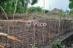 Kavling Tanah di Anyer Dijual Luas 570m2 Legalitas - Kavling Tanah di Anyer Dijual Luas 570m2 Legalitas -
