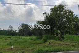 Lahan untuk Dijual di Pandaan Pasuruan Luas 9625m2 Lahan untuk Dijual di Pandaan Pasuruan Luas 9625m2