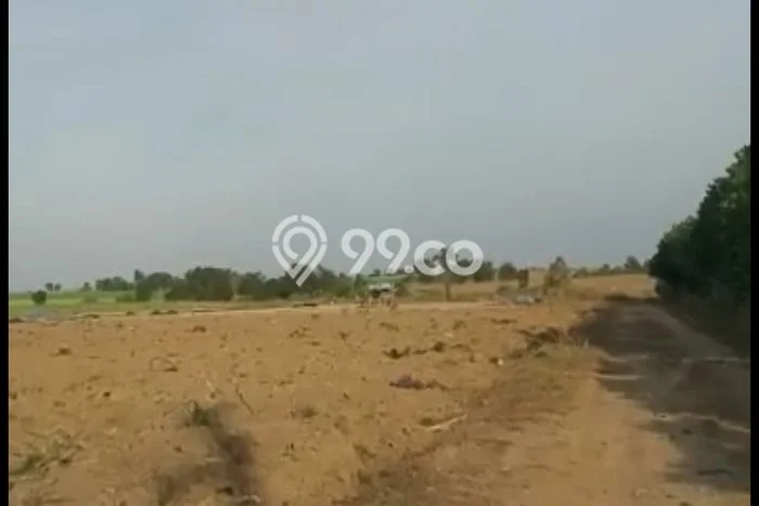 Lahan Kosong Dijual di Terbanggi Besar, Lampung Tengah, Luas 100000m2 Area Strategis Lahan Kosong Dijual di Terbanggi Besar, Lampung Tengah, Luas 100000m2 Area Strategis