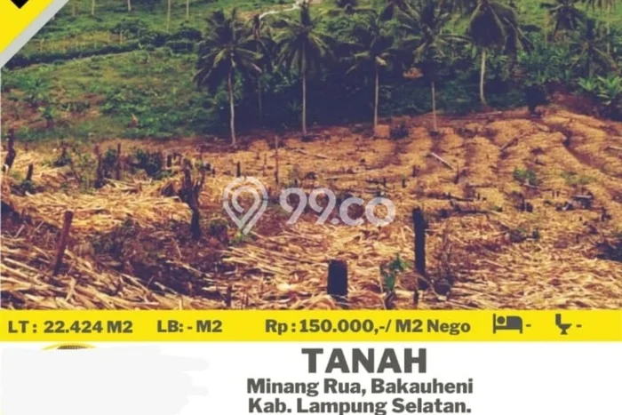 Untuk Dijual Tanah di Bakauheni Lampung Selatan Luas 22000m2 SHM Untuk Dijual Tanah di Bakauheni Lampung Selatan Luas 22000m2 SHM