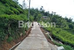 TANAH ADA KEBUN TEH PRODUKTIF + ADA VILLA KAYU TANAH ADA KEBUN TEH PRODUKTIF + ADA VILLA KAYU